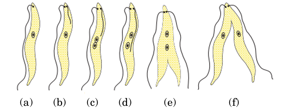 2025-31-3-QuestionNumber36b(i).png